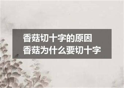 香菇切十字的原因 香菇为什么要切十字