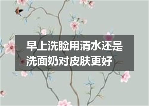 早上洗脸用清水还是洗面奶对皮肤更好