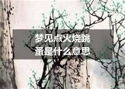 梦见点火烧跳蚤是什么意思