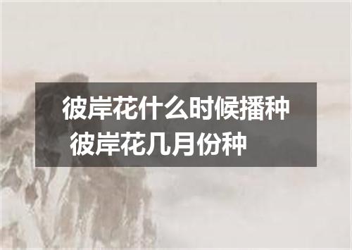 彼岸花什么时候播种 彼岸花几月份种