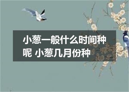 小葱一般什么时间种呢 小葱几月份种