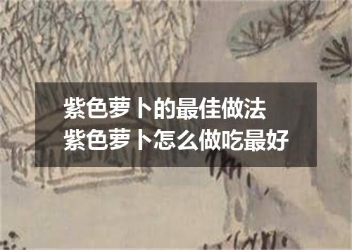 紫色萝卜的最佳做法 紫色萝卜怎么做吃最好