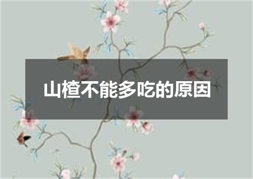 山楂不能多吃的原因