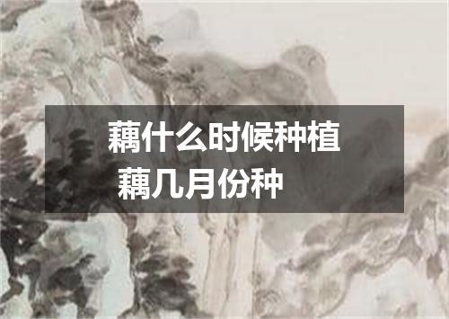 藕什么时候种植 藕几月份种
