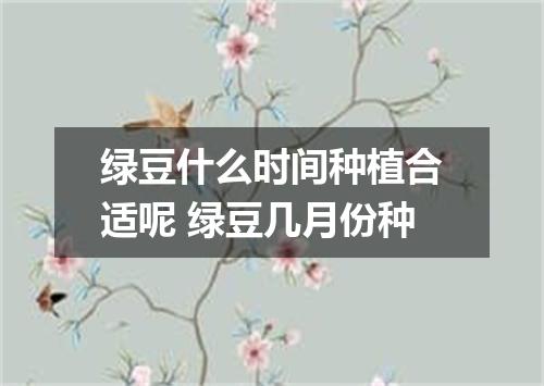 绿豆什么时间种植合适呢 绿豆几月份种