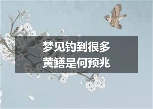 梦见钓到很多黄鳝是何预兆