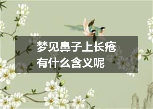 梦见鼻子上长疮有什么含义呢