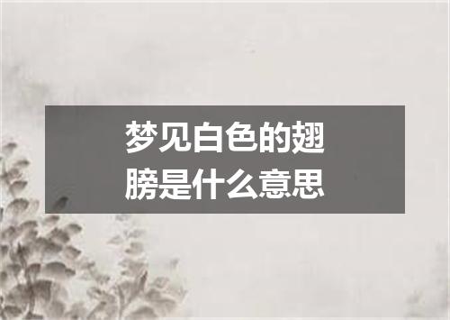 梦见白色的翅膀是什么意思
