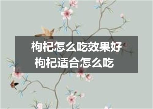 枸杞怎么吃效果好 枸杞适合怎么吃