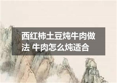 西红柿土豆炖牛肉做法 牛肉怎么炖适合