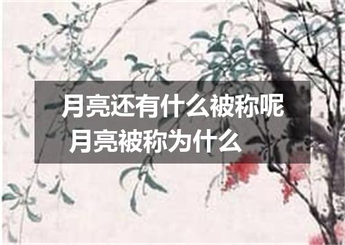 月亮还有什么被称呢 月亮被称为什么