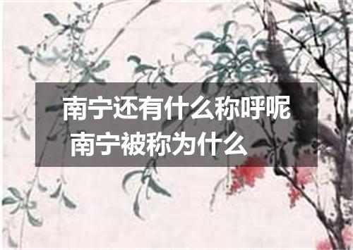 南宁还有什么称呼呢 南宁被称为什么