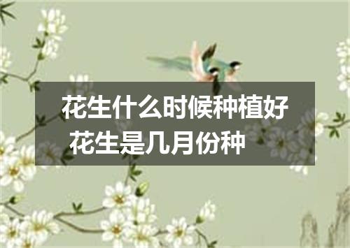花生什么时候种植好 花生是几月份种