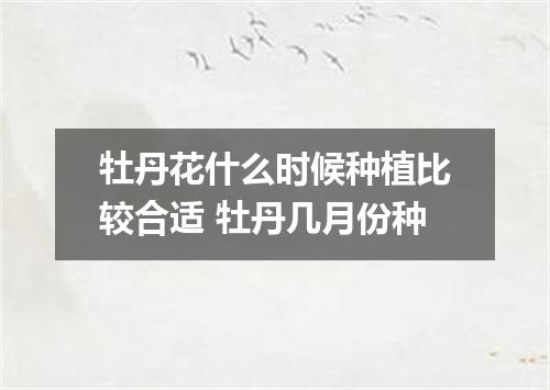 牡丹花什么时候种植比较合适 牡丹几月份种