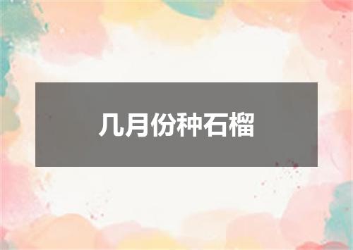 几月份种石榴