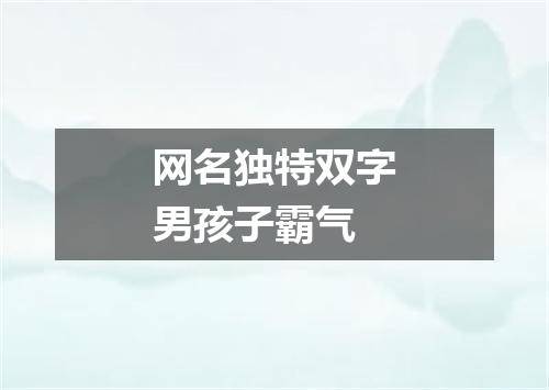 网名独特双字男孩子霸气