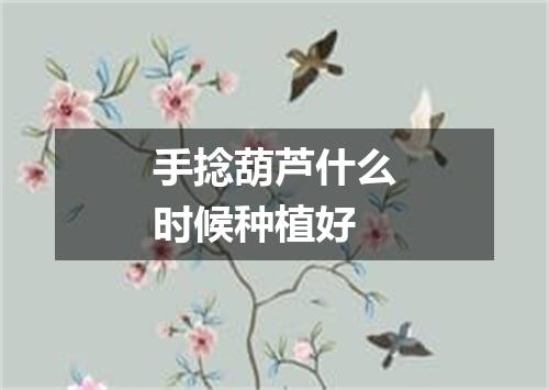 手捻葫芦什么时候种植好