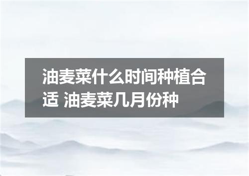 油麦菜什么时间种植合适 油麦菜几月份种