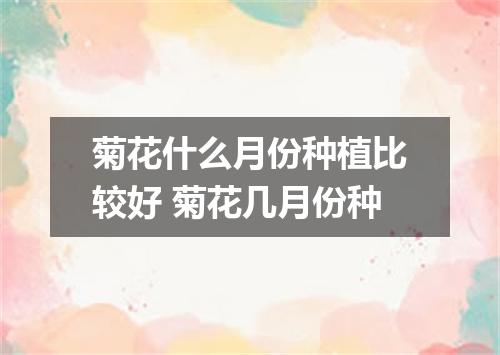 菊花什么月份种植比较好 菊花几月份种