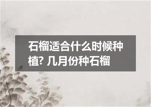 石榴适合什么时候种植? 几月份种石榴