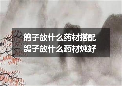 鸽子放什么药材搭配 鸽子放什么药材炖好