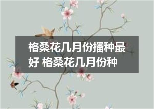 格桑花几月份播种最好 格桑花几月份种