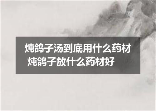 炖鸽子汤到底用什么药材 炖鸽子放什么药材好