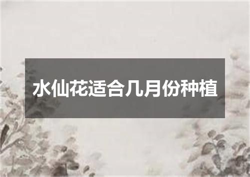 水仙花适合几月份种植