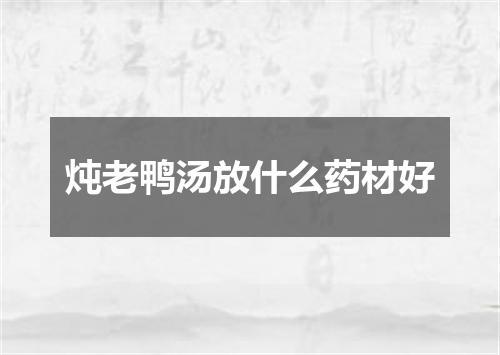 炖老鸭汤放什么药材好
