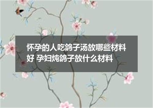 怀孕的人吃鸽子汤放哪些材料好 孕妇炖鸽子放什么材料