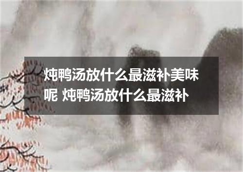 炖鸭汤放什么最滋补美味呢 炖鸭汤放什么最滋补