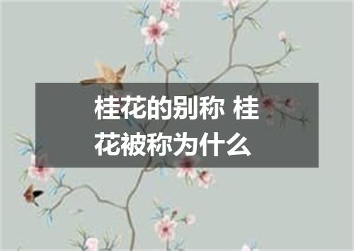 桂花的别称 桂花被称为什么