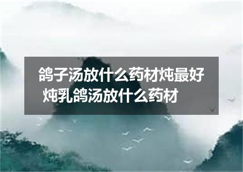 鸽子汤放什么药材炖最好 炖乳鸽汤放什么药材