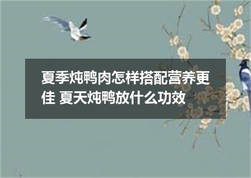 夏季炖鸭肉怎样搭配营养更佳 夏天炖鸭放什么功效