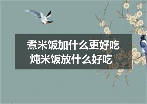 煮米饭加什么更好吃 炖米饭放什么好吃