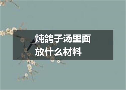 炖鸽子汤里面放什么材料