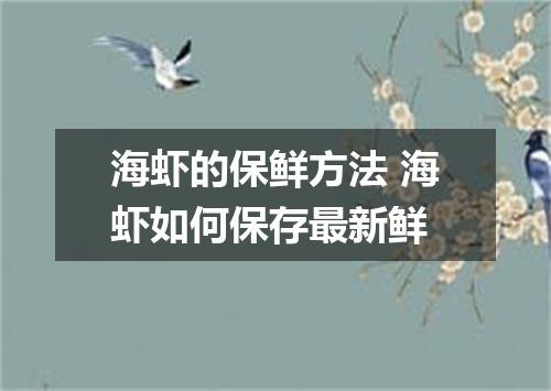 海虾的保鲜方法 海虾如何保存最新鲜
