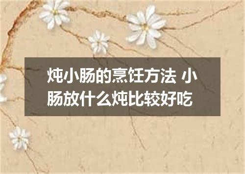 炖小肠的烹饪方法 小肠放什么炖比较好吃