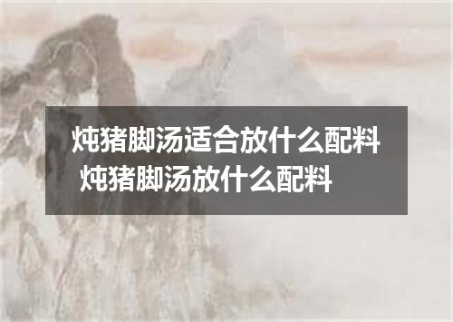 炖猪脚汤适合放什么配料 炖猪脚汤放什么配料