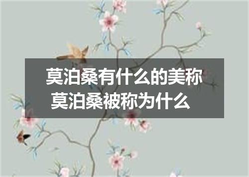 莫泊桑有什么的美称 莫泊桑被称为什么