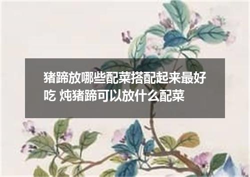 猪蹄放哪些配菜搭配起来最好吃 炖猪蹄可以放什么配菜