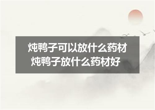 炖鸭子可以放什么药材 炖鸭子放什么药材好