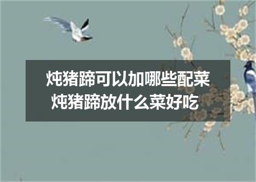 炖猪蹄可以加哪些配菜 炖猪蹄放什么菜好吃