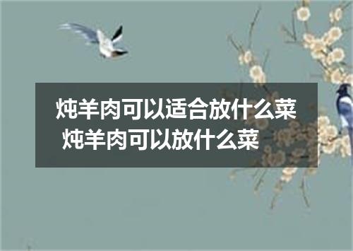 炖羊肉可以适合放什么菜 炖羊肉可以放什么菜