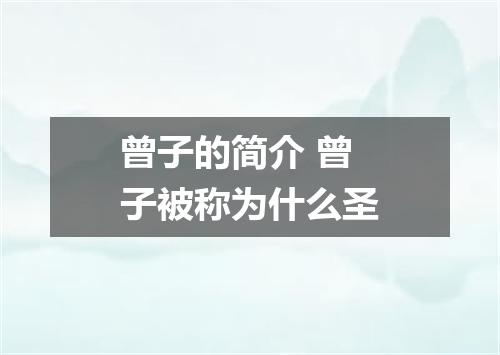 曾子的简介 曾子被称为什么圣