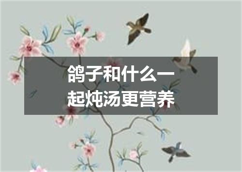 鸽子和什么一起炖汤更营养