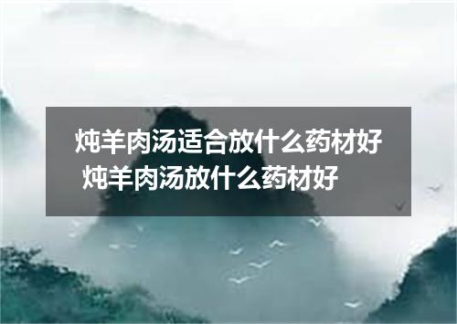 炖羊肉汤适合放什么药材好 炖羊肉汤放什么药材好