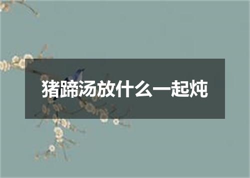 猪蹄汤放什么一起炖