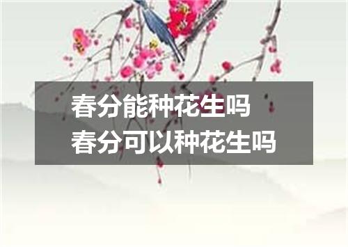 春分能种花生吗 春分可以种花生吗