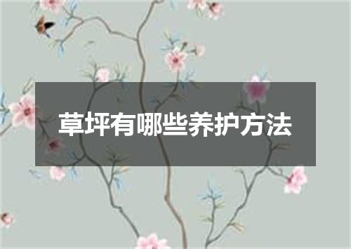 草坪有哪些养护方法